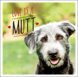 Love Is a Mutt : A Dog-Tastic Celebration of the World's Cutest Mixed and Cross Breeds