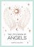 The Little Book of Angels : An Introduction to Spirit Guides