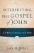 Interpreting the Gospel of John : A Practical Guide