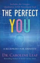The Perfect You : A Blueprint for Identity