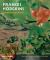 Frances Hodgkins: European Journeys