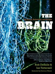 The Brain : Big Bangs, Behaviors, and Beliefs