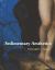 Sedimentary Aesthetics : Painting on Stone and the Ecology of Early Modern Art