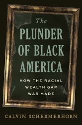 The Plunder of Black America : How the Racial Wealth Gap Was Made