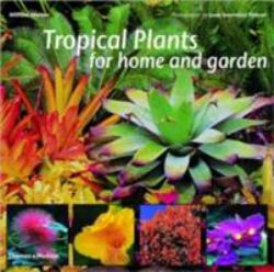Tropical Garden Plants
