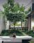 Resident Dog : Incredible Homes and the Dogs That Live There