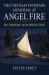 The Vietnam Veterans Memorial at Angel Fire : War, Remembrance, and an American Tragedy