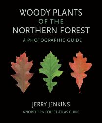 Woody Plants of the Northern Forest : A Photographic Guide
