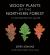 Woody Plants of the Northern Forest : A Photographic Guide