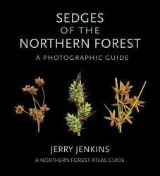 Sedges of the Northern Forest : A Photographic Guide