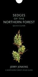 Sedges of the Northern Forest : Quick Guide