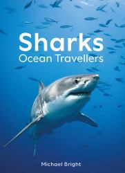 Sharks : Ocean Travellers