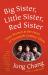 Big Sister, Little Sister, Red Sister : Three Women at the Heart of Twentieth-Century China