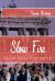 Slow Fire : Jewish Notes from Berlin