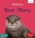 River Otters