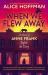 When We Flew Away : A Novel of Anne Frank Before the Diary