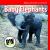 Baby Elephants