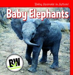 Baby Elephants