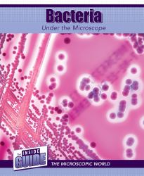 Bacteria under the Microscope