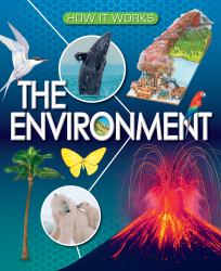 The Environment