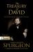 The Treasury of David : An Exposition of the Book of Psalms Volume 3 Psalms 28-41