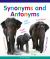 Synonyms and Antonyms Synonyms and Antonyms