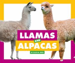 Llamas and Alpacas