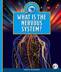 What Is the Nervous System?