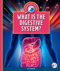 What Is the Digestive System?
