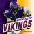 Minnesota Vikings