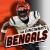 Cincinnati Bengals