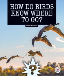 How Do Birds Know Where to Go?