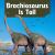 Brachiosaurus Is Tall Brachiosaurus Is Tall