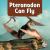 Pteranodon Can Fly