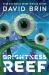 Brightness Reef