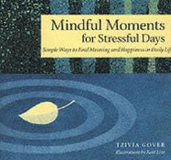 Mindful Moments for Stressful Days : Simple Ways to Find Meaning and Happiness in Daily Life