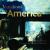 Variations on America : Masterworks from American Art Forum Collections