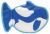 Winnie Whale