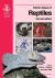 BSAVA Manual of Reptiles BSAVA Manual of Reptiles