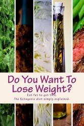 Do You Want to Lose Weight? : The Pocket Handbook on Fast Effective Weight Loss