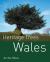 Heritage Trees - Wales