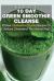10 Day Green Smoothie Cleanse : 50 New Cholesterol Crusher Recipes to Reduce Cholesterol the Natural Way