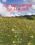 Wildflower Meadows