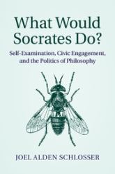 What Would Socrates Do? : Self-Examination, Civic Engagement, and the Politics of Philosophy