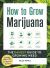 How to Grow Marijuana : The Easiest Guide to Growing Weed