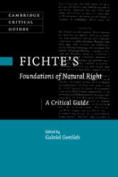 Fichte's Foundations of Natural Right : A Critical Guide