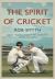 Spirit of Cricket