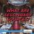 What Are Secondary Sources?