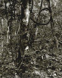 Balthasar Burkhard : Photographer