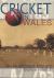 Cricket in Wales : An Illustrated History